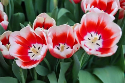 �� ����� �������� 18 ����