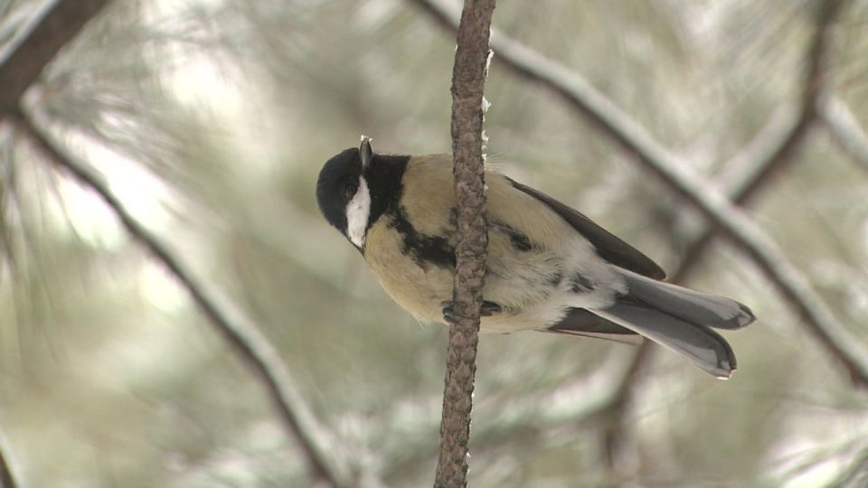 ������������� ������ ������� ������� ������������� �������