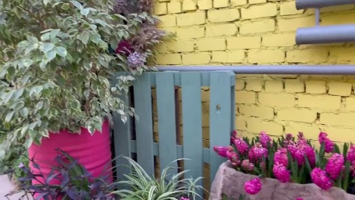 �� ����� ��� �����, �� ����� �� �� ������!