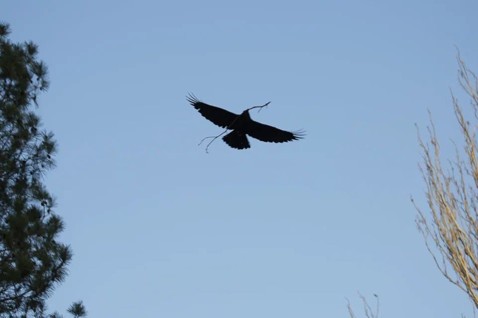 � ��������� ������ �������������� ������� ��������� ���������� ������������� �������-�����������