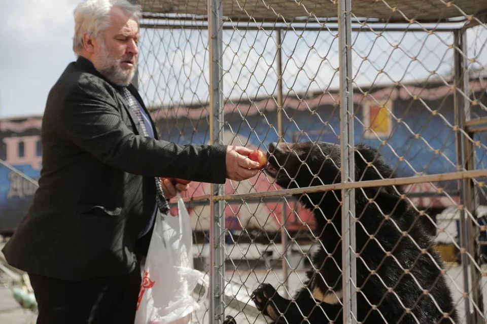 �� ������ �������� �������������� ����� ������� ��� ������������� ������� �������� ����� 50 ��� ������ �� ����������