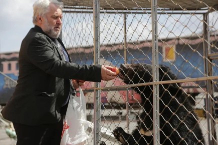 �� ������ �������� �������������� ����� ������� ��� ������������� ������� �������� ����� 50 ��� ������ �� ����������