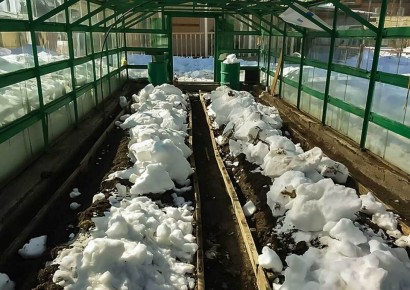 ������ ������� ����� �� ��������: ���� ��� ��������� ������