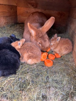 ��� ���������� ��� � �������� ������� � ������ ������