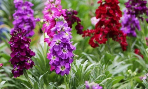 ������: ���������� ���� � ��������������� ��������