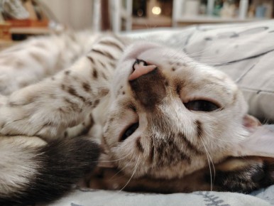 ����� �� � ������: ����� � ������