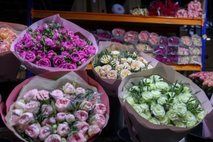 � ������� � ���������: ������ ������ ���������� ���������� ���� �� ����������� �������