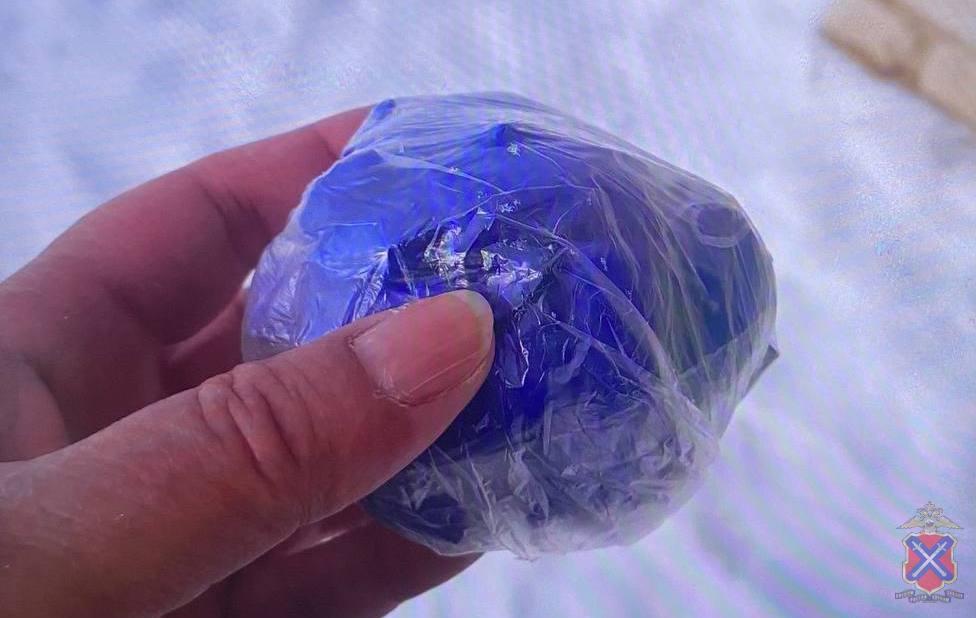 В Краснооктябрьском районе Волгограда сотрудники полиции пресекли деятельность закладчицы наркотиков В Краснооктябрьском районе Волгограда сотрудники полиции пресекли деятельность закладчицы наркотиков