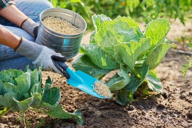 ������ � ����������� ����������: ������������ ����� � �������� ������ ��� ���������