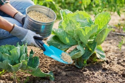 ������ � ����������� ����������: ������������ ����� � �������� ������ ��� ���������