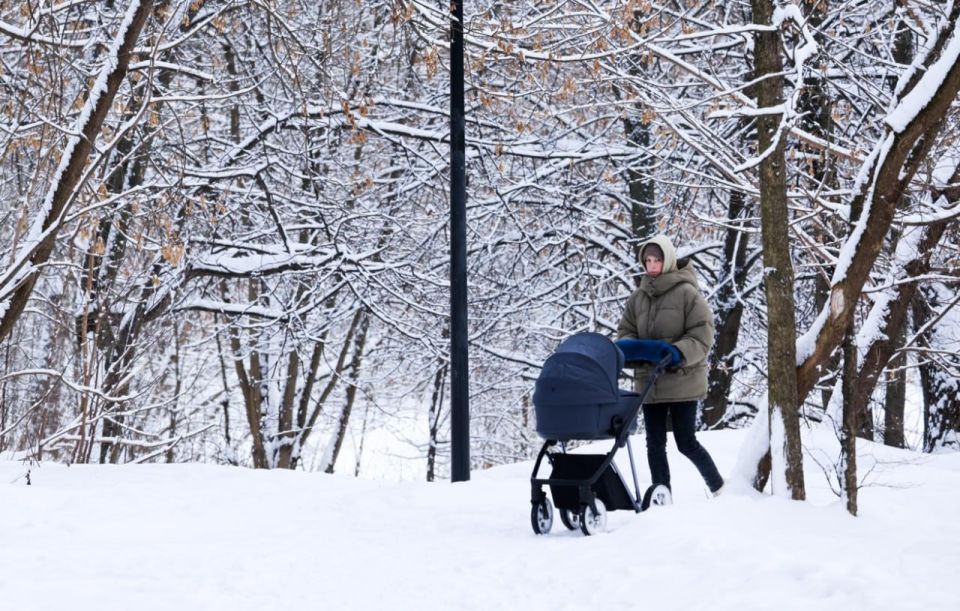 1 � 29 �������� �������� ������� �� 600 ���