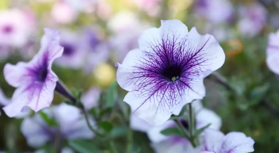 ������� ������: ��� ������� ����� ��������� ������ �� ����� �������