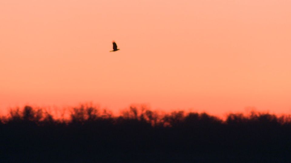 ���������� ������ ����������� ������������ ������������� ���������