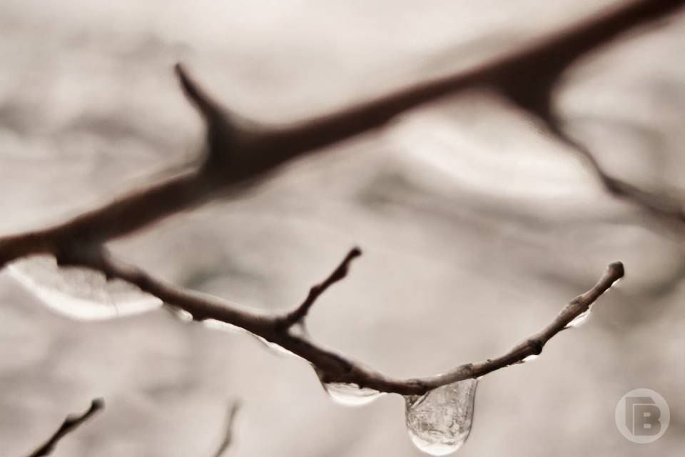 ��������� �������������� ���� ������������, ��� 17 ������� � ������� ��������� ������� ����� � ������ ����, ����� � ����� �����