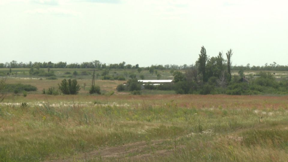 ���� ������� ������������� ������� �������� �������� �� ��������������� �������� ����������