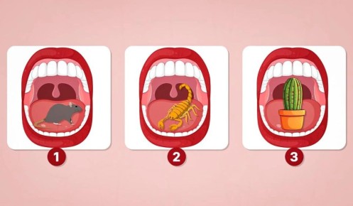 ��� ������� ������ ��������: ����������� ���� �� ������� ����� ������ ���������