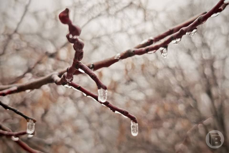 �� +14 �������� ��������� � ������������� �������