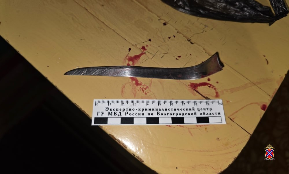 В Николаевском районе полицейские задержали подозреваемого в причинении ножевого ранения односельчанину В Николаевском районе полицейские задержали подозреваемого в причинении ножевого ранения односельчанину