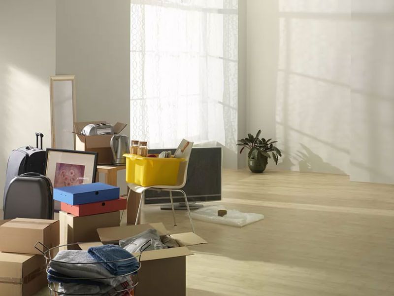 �������� ���� ������������: 11 ���������, ������� ������� ��������� ����� ������