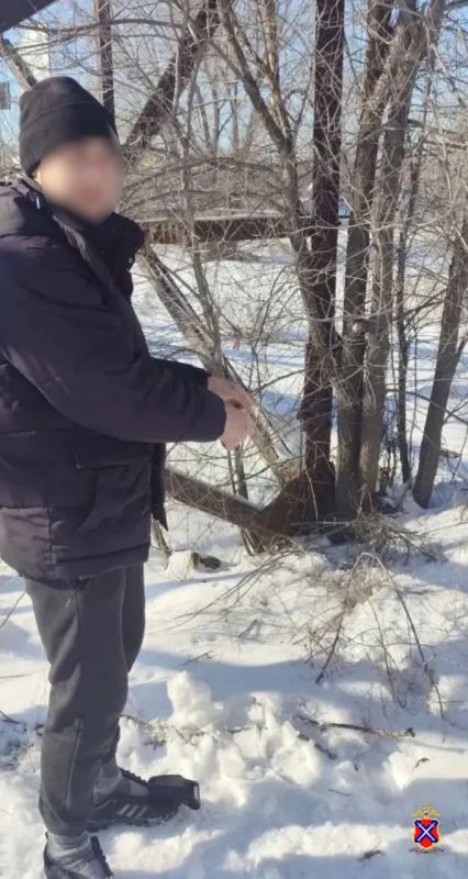 � �������� ����������� ��������� �������, �������������� � �������� ���������� � ������� �������