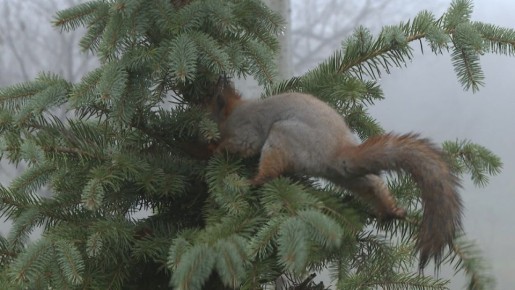 ������������� ���� �������������� ������ ������������� ������