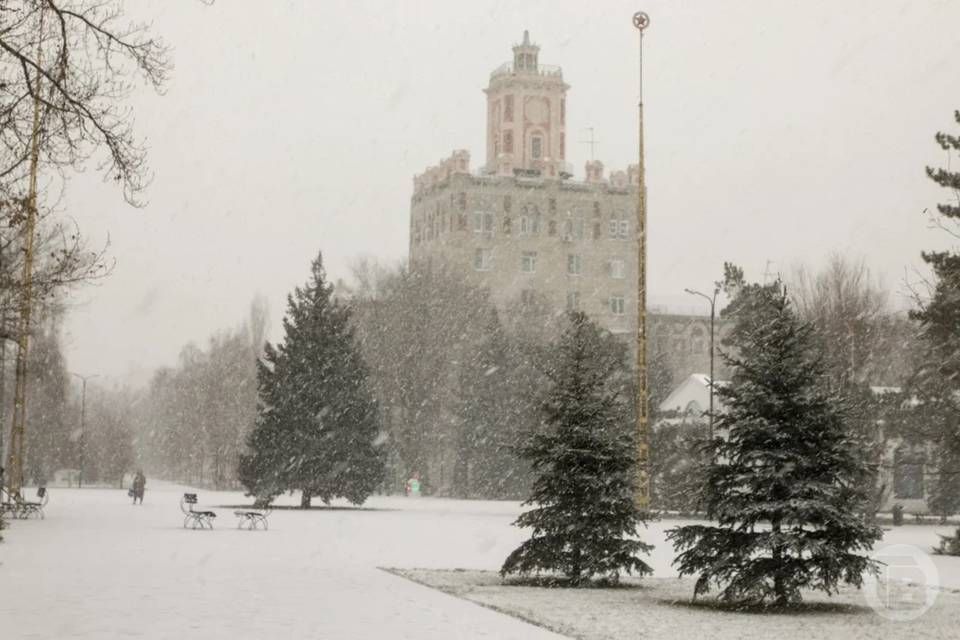 ������������ ������� ������ ��������� �����������