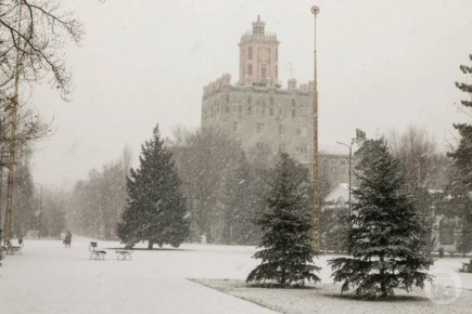 ������������ ������� ������ ��������� �����������