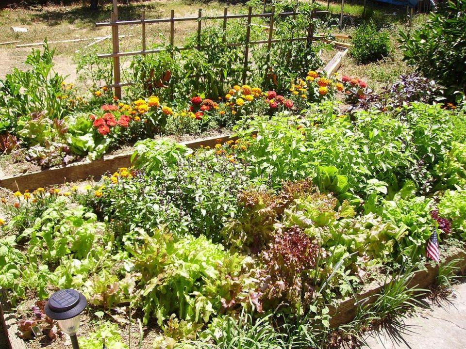 ����������� ��������� ������ �������: ������ ��� � ������� ����� ������