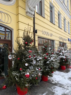 LOOK UP Cafe&Shop � ������� �����������