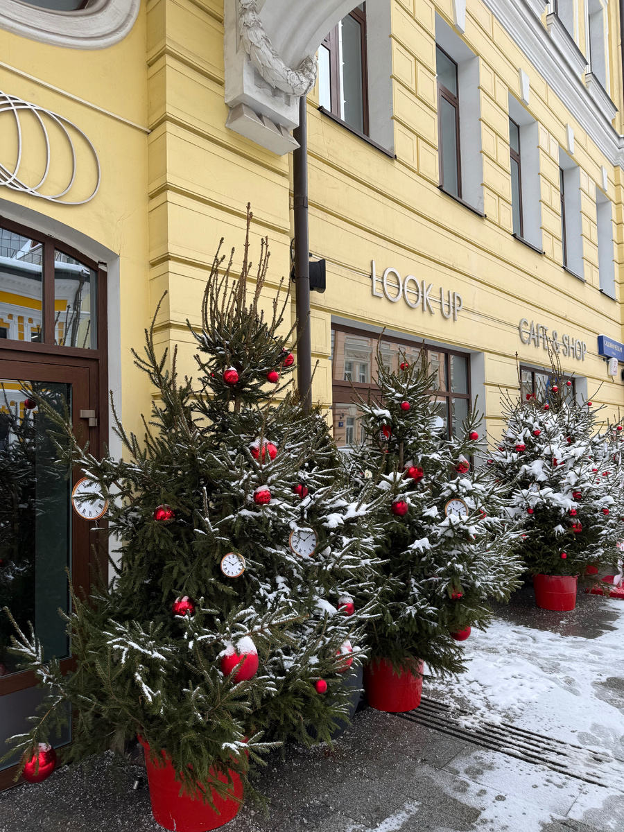 LOOK UP Cafe&Shop — центром вдохновения