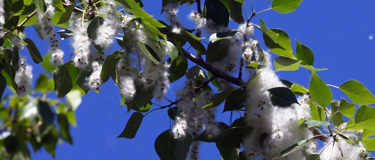 ������ ��������� ������� �� ����� ������ ����� � �����