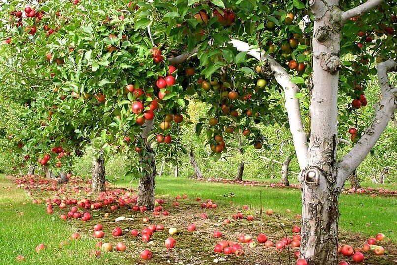 ��� �������� ������ � ����� �� ���������� � �������� � ���