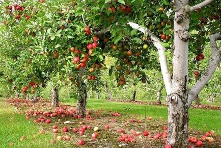 ��� �������� ������ � ����� �� ���������� � �������� � ���