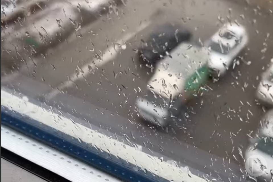 ����� ���? ������� ����� ����!