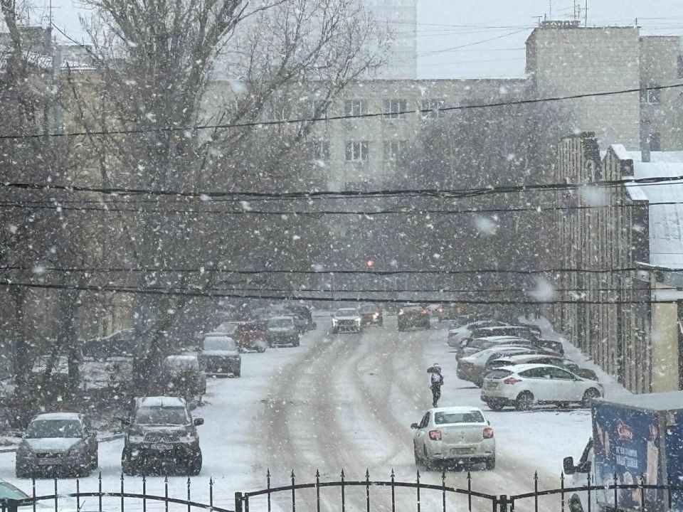 ���� ���� ����: ��� ����� �������!