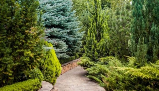 ��� ������ ������� � ���� �� ����������� ����������