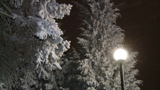 ������� ������ ����������� �� ������������� �������