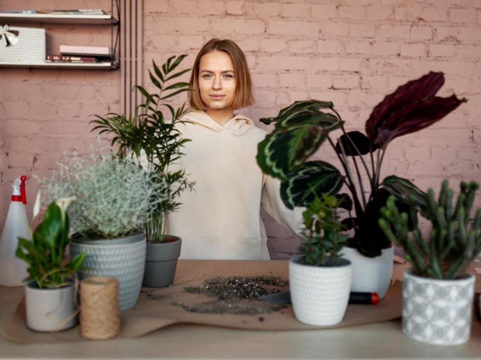 �������� ��������: ������ �������� ��� ��������