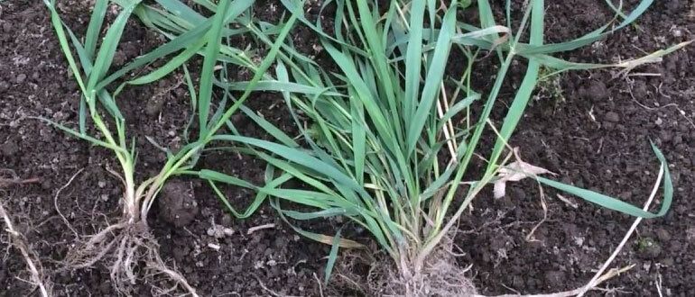 ����������� ������ ������ � ��������� �� ����� �������