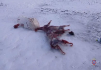 � ��������� ������ ����������� ���������� ������������� � �������������