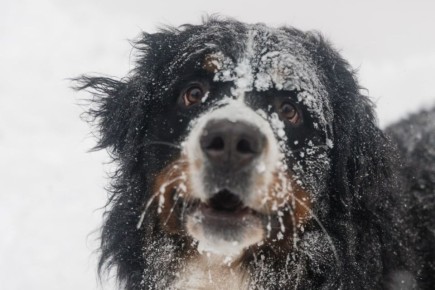 �� ��������� � ���������� ����� ������� � ����� ��������