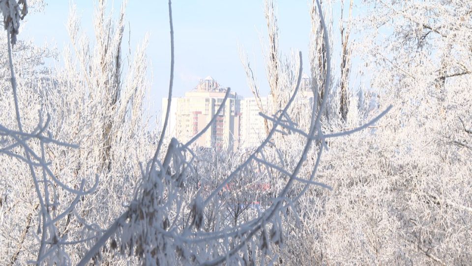 � ���������� ������� ����� ������ ����������� �� 15 %