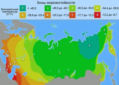 Почему зоны морозостойкости USDA не всегда надежны при выборе растений