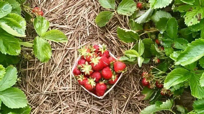 ��� �� ��������� �������� �� ����� ����������: �������� ������� ���������