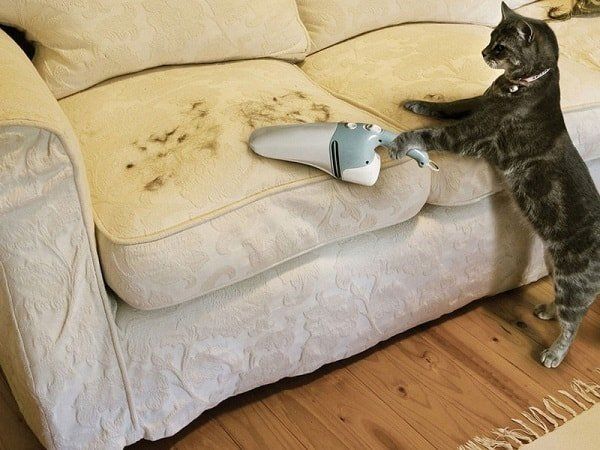 ��� ���������� ���������� � �������� ������� � ����� ����