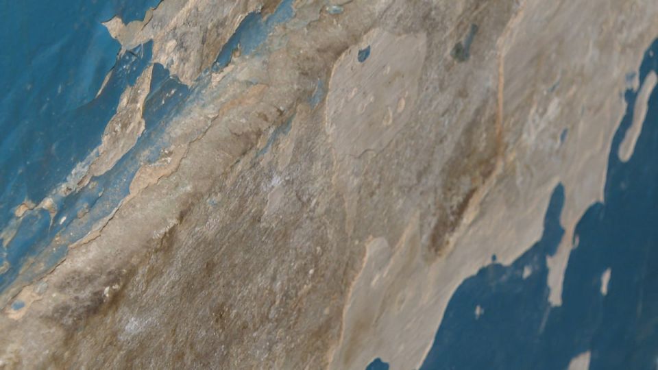 ��������� ��������� ���� �� �������� �������� � ���������� ���� ������� ���������� ��������� � ����������