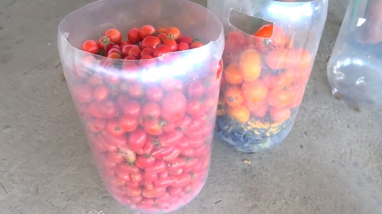 ��� ��������� ���������� ������: �������� ������� ��������