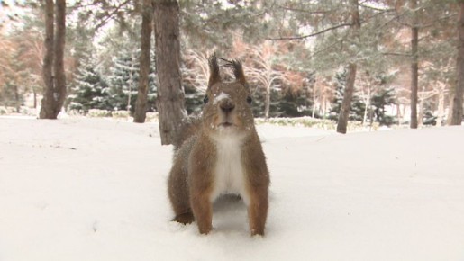 ����� ��������� ���� ������� ������� ������������