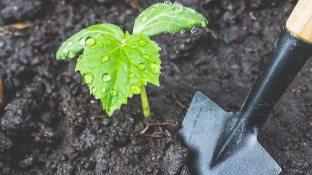 ��� ������� ����� �������� ������ ������� ���� � �����������