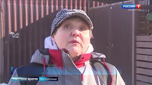 Волгоградцы ведут фотоохоту на «серых возчиков»